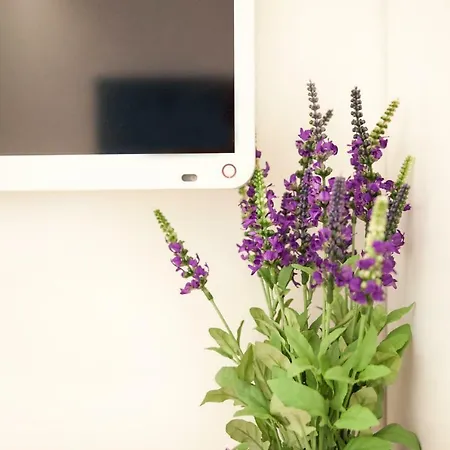 Apartman Petra Design Dubrovnik