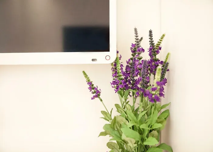 아파트 Petra Design 두브로브니크